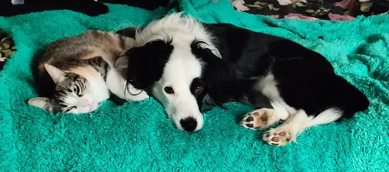 Nina e Molly