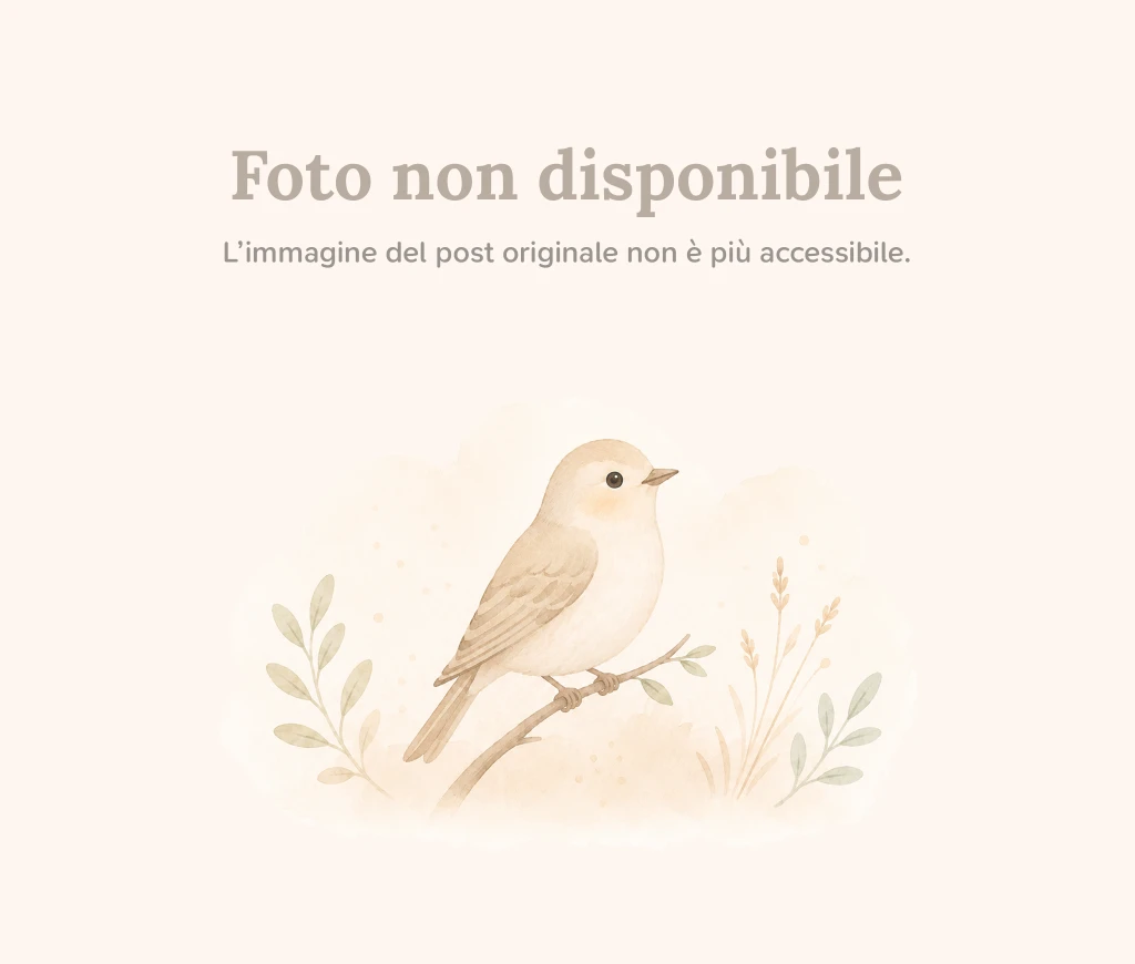 Foto annuncio avvistamento 1
