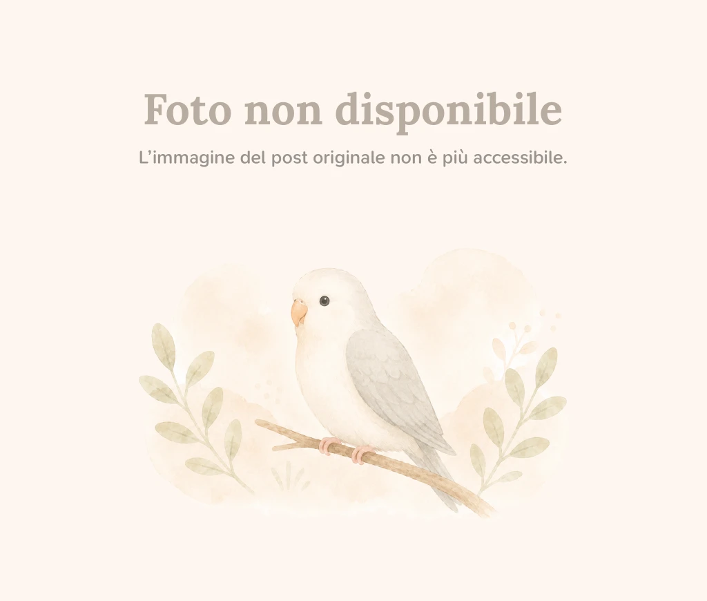 Foto annuncio avvistamento 1