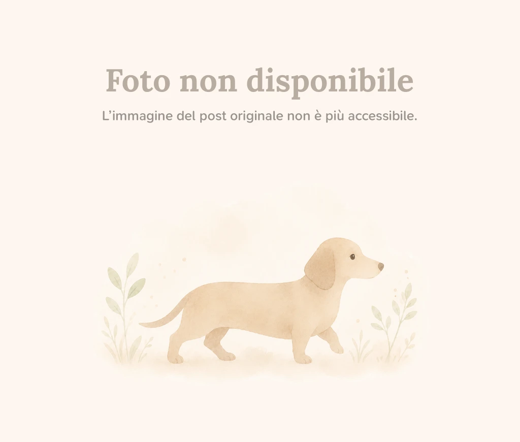 Foto annuncio avvistamento 1