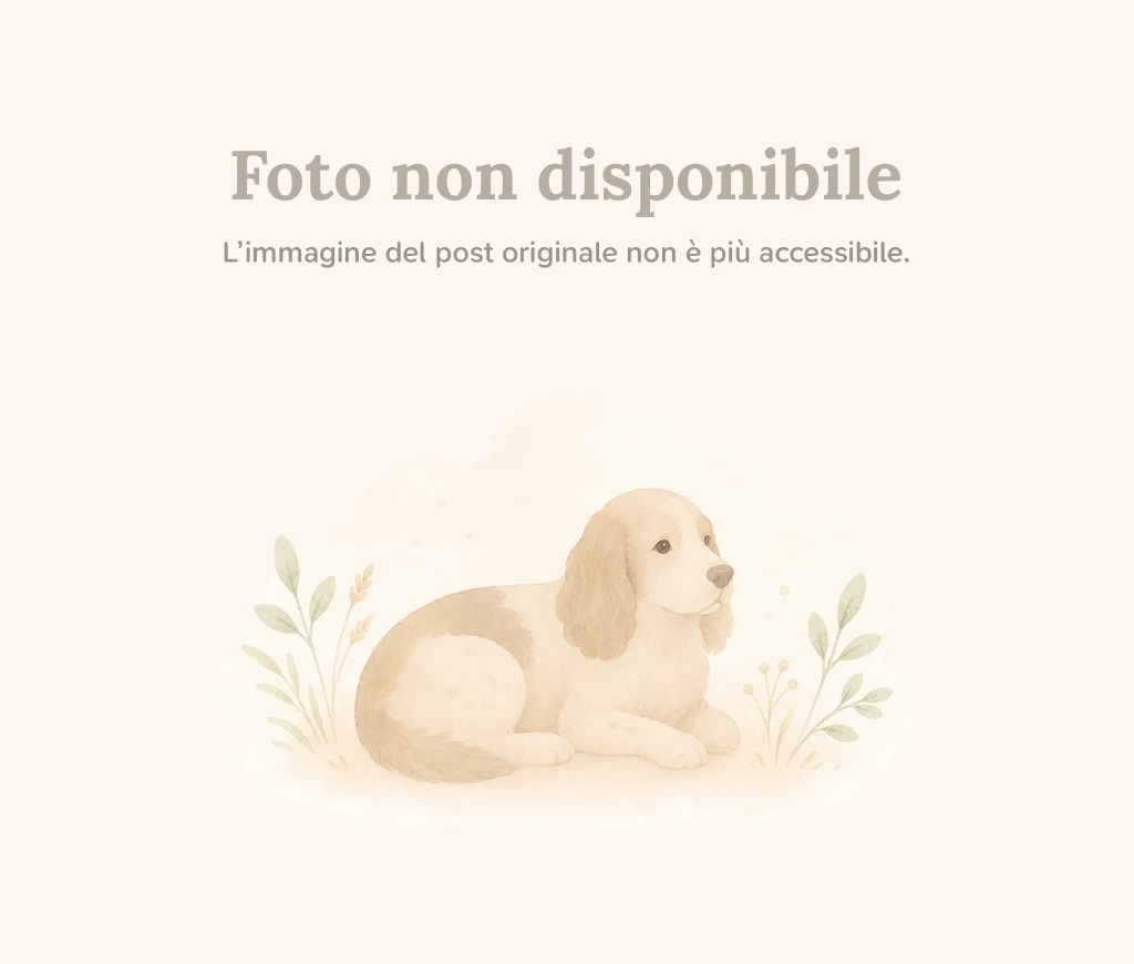 Foto annuncio 1: Blanko