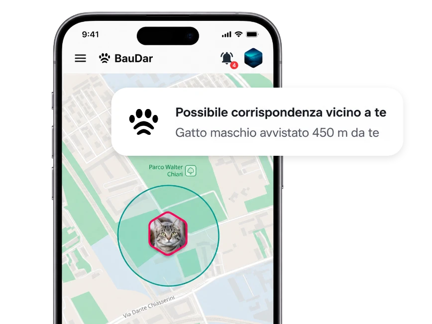Anteprima BauDar con mappa e notifica di possibile corrispondenza