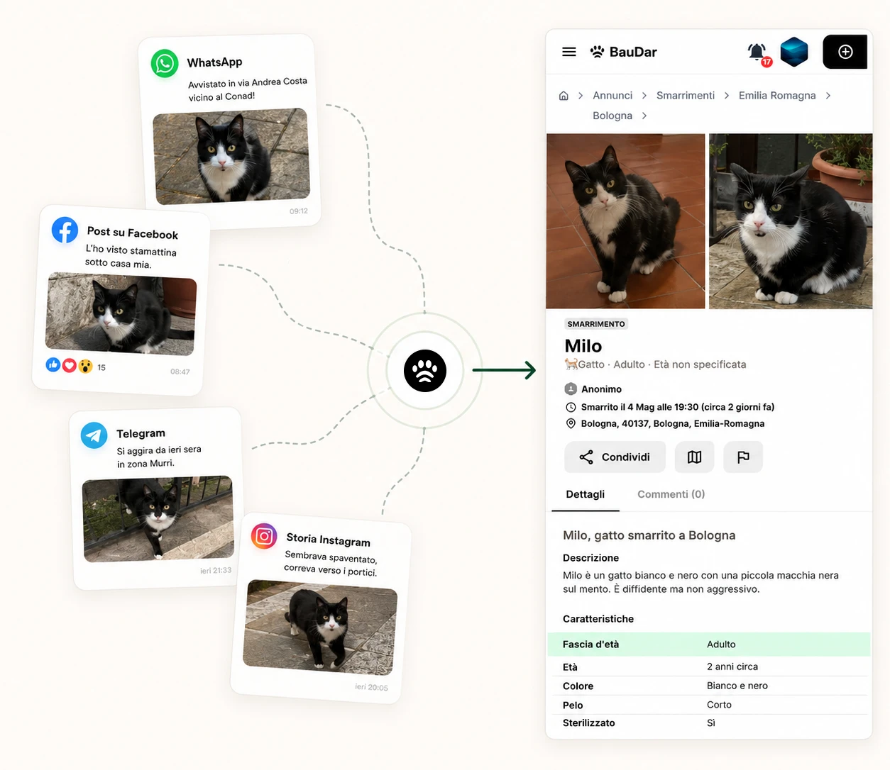 Post e chat locali che confluiscono in un annuncio BauDar completo