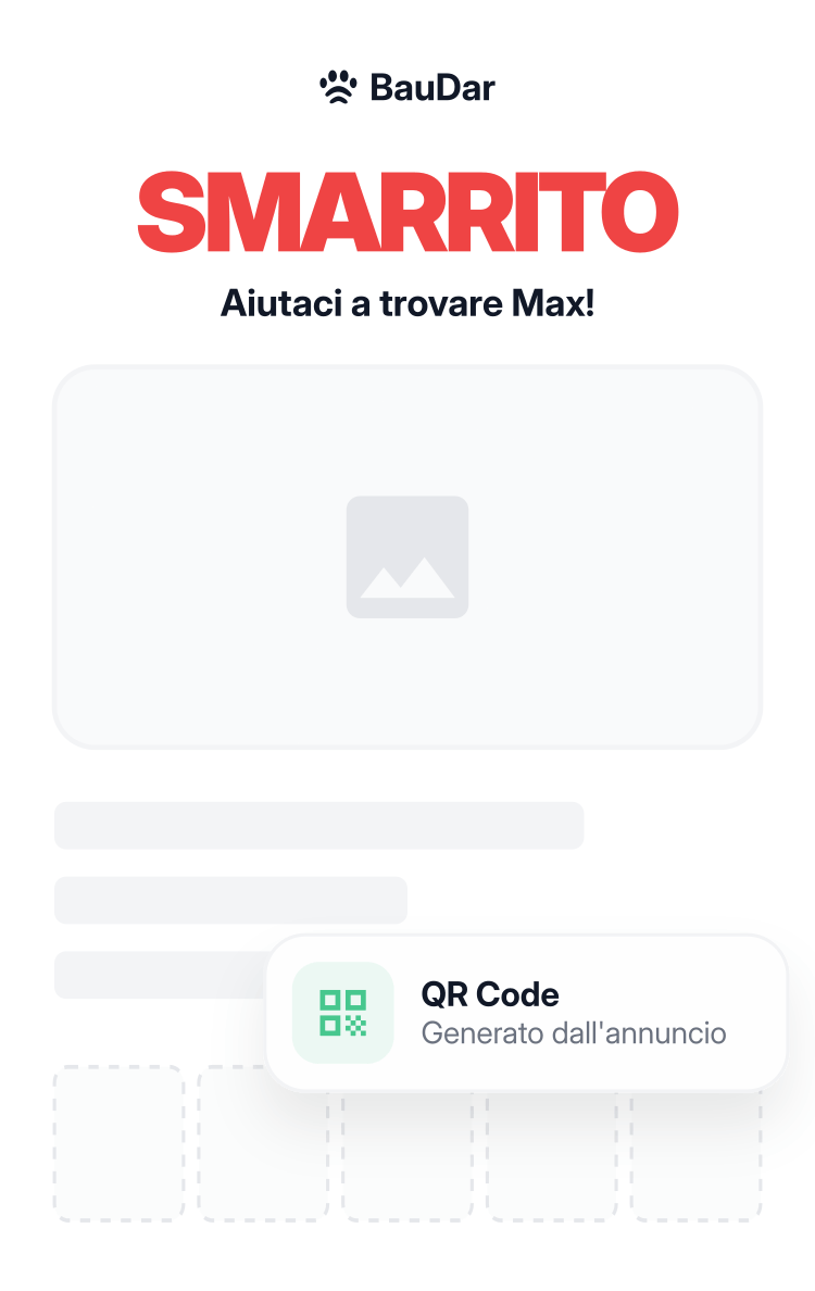 Esempio di volantino per animale smarrito con foto, linguette e QR code.