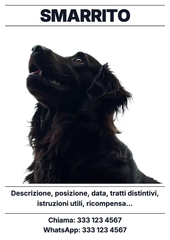 Esempio di volantino animale perso minimalista per creare un avviso leggibile in pochi minuti.