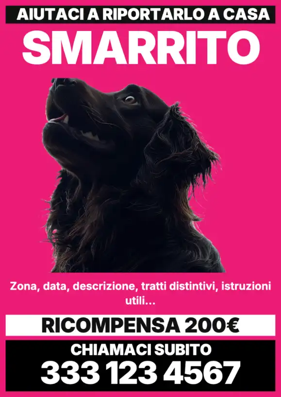 Modello fucsia di volantino animale smarrito pensato per attirare l'attenzione in strada.
