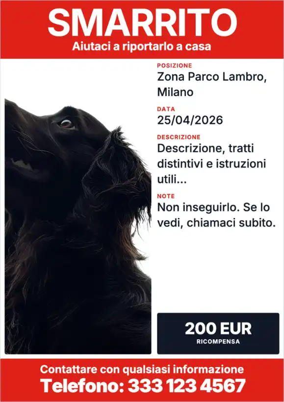 Template rosso per volantino animale smarrito con foto, zona di scomparsa e contatti.
