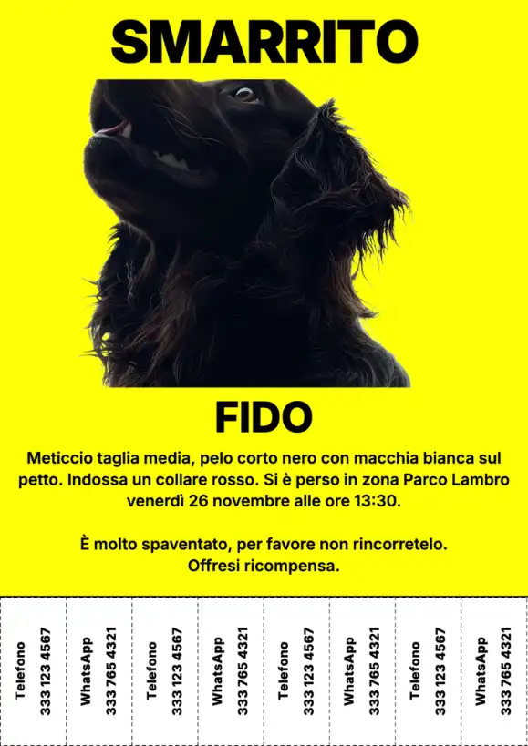Esempio di volantino cane perso giallo da stampare con foto grande e numero di telefono.