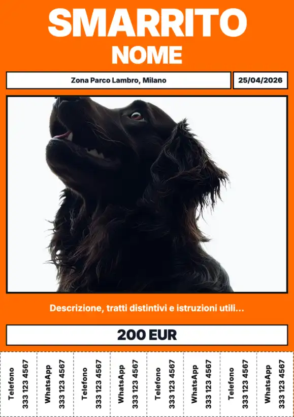 Modello di volantino cane smarrito arancione ad alta visibilità per quartiere, negozi e bacheche.