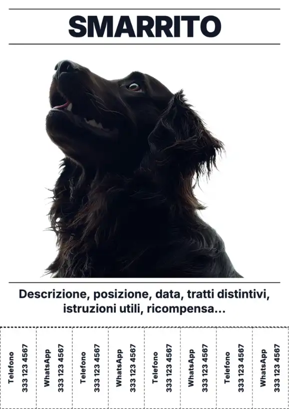 Modello minimalista di volantino gatto smarrito con linguette strappabili e informazioni essenziali.